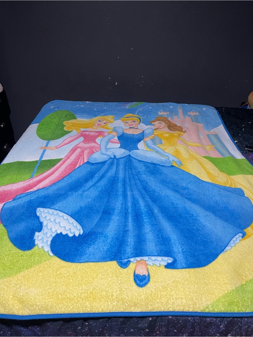 Vintage Disney Princess Fleece Blanket The Northwest Co Y2K